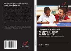 Bookcover of Określanie postaw nauczycieli szkół podstawowych