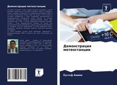 Bookcover of Демонстрация метеостанции