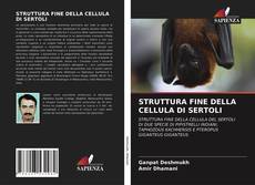 Couverture de STRUTTURA FINE DELLA CELLULA DI SERTOLI