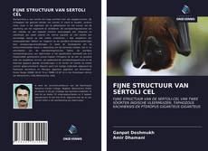 Bookcover of FIJNE STRUCTUUR VAN SERTOLI CEL