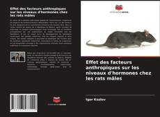 Обложка Effet des facteurs anthropiques sur les niveaux d'hormones chez les rats mâles