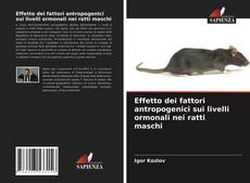 Bookcover of Effetto dei fattori antropogenici sui livelli ormonali nei ratti maschi