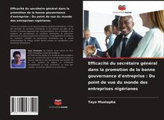 Обложка Efficacité du secrétaire général dans la promotion de la bonne gouvernance d'entreprise : Du point de vue du monde des entreprises nigérianes