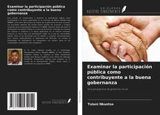 Buchcover von Examinar la participación pública como contribuyente a la buena gobernanza