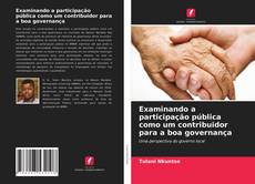 Examinando a participação pública como um contribuidor para a boa governança的封面