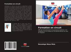 Buchcover von Formation en circuit