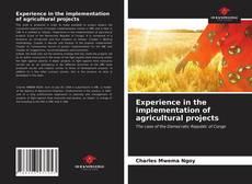 Bookcover of Experience in the implementation of agricultural projects