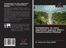 Buchcover von Umiejętności na rzecz odporności poprzez SDGs i Transformative Mindset