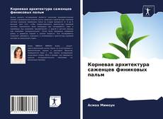 Обложка Корневая архитектура саженцев финиковых пальм