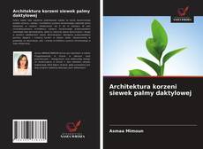 Couverture de Architektura korzeni siewek palmy daktylowej