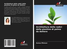 Copertina di Architettura delle radici delle piantine di palma da dattero