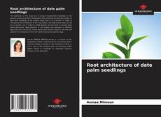 Root architecture of date palm seedlings的封面