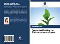 Bookcover of Wurzelarchitektur von Dattelpalmensämlingen