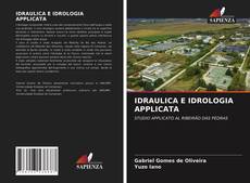 Bookcover of IDRAULICA E IDROLOGIA APPLICATA