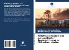 Bookcover of Kollektives Handeln und mennonitischer Kooperativismus in Chihuahua, Mexiko