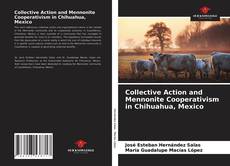 Portada del libro de Collective Action and Mennonite Cooperativism in Chihuahua, Mexico