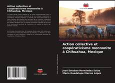 Capa do livro de Action collective et coopérativisme mennonite à Chihuahua, Mexique 