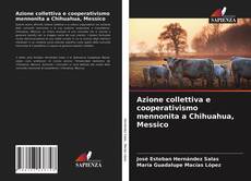 Bookcover of Azione collettiva e cooperativismo mennonita a Chihuahua, Messico