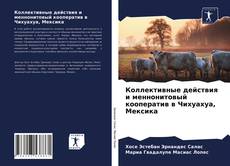 Couverture de Коллективные действия и меннонитовый кооператив в Чихуахуа, Мексика