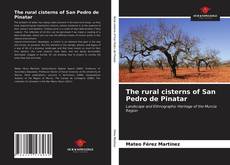 The rural cisterns of San Pedro de Pinatar的封面