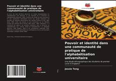 Bookcover of Pouvoir et identité dans une communauté de pratique de l'alphabétisation universitaire