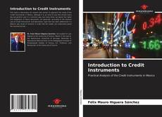 Portada del libro de Introduction to Credit Instruments