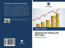 Bookcover of Vorsicht bei Small und Mid Caps