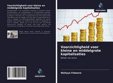 Bookcover of Voorzichtigheid voor kleine en middelgrote kapitalisaties