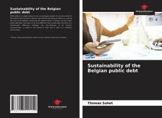 Sustainability of the Belgian public debt的封面