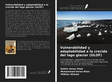 Bookcover of Vulnerabilidad y adaptabilidad a la crecida del lago glaciar (GLOF)