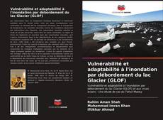 Portada del libro de Vulnérabilité et adaptabilité à l'inondation par débordement du lac Glacier (GLOF)