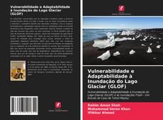 Bookcover of Vulnerabilidade e Adaptabilidade à Inundação do Lago Glaciar (GLOF)