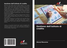 Capa do livro de Gestione dell'istituto di credito 