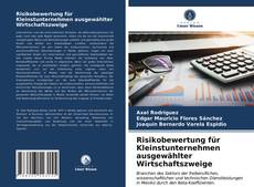 Buchcover von Risikobewertung für Kleinstunternehmen ausgewählter Wirtschaftszweige