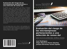 Borítókép a  Evaluación del riesgo de las microempresas pertenecientes a una selección de ramas del - hoz