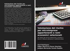 Bookcover of Valutazione del rischio per microimprese appartenenti a rami economici selezionati