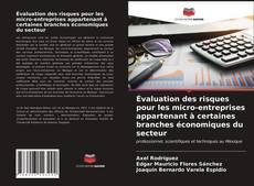 Couverture de Évaluation des risques pour les micro-entreprises appartenant à certaines branches économiques du secteur