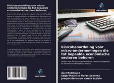Capa do livro de Risicobeoordeling voor micro-ondernemingen die tot bepaalde economische sectoren behoren 