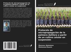 Copertina di Protocolo de micropropagación de la palmera datilera a partir de un cultivo celular en suspensión
