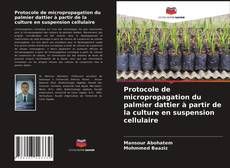 Capa do livro de Protocole de micropropagation du palmier dattier à partir de la culture en suspension cellulaire 