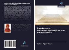 Bookcover of Blokkeer- en betonwerkpraktijken van bouwvakkers