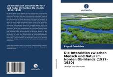 Die Interaktion zwischen Mensch und Natur im Norden Ob-Irlands (1917-1930) kitap kapağı