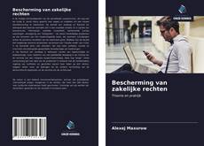 Bookcover of Bescherming van zakelijke rechten