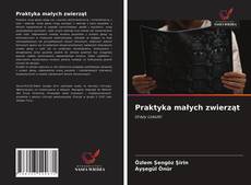 Praktyka małych zwierząt kitap kapağı