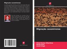 Migração caxemirense的封面