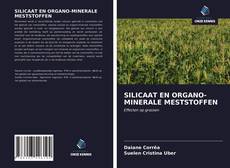 Bookcover of SILICAAT EN ORGANO-MINERALE MESTSTOFFEN