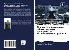 Copertina di Политика и мониторинг общественного пространства: Исследование Корк-Сити