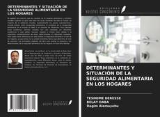 Copertina di DETERMINANTES Y SITUACIÓN DE LA SEGURIDAD ALIMENTARIA EN LOS HOGARES