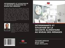 Portada del libro de DÉTERMINANTS ET SITUATION DE LA SÉCURITÉ ALIMENTAIRE AU NIVEAU DES MÉNAGES