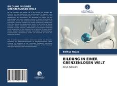 Capa do livro de BILDUNG IN EINER GRENZENLOSEN WELT 